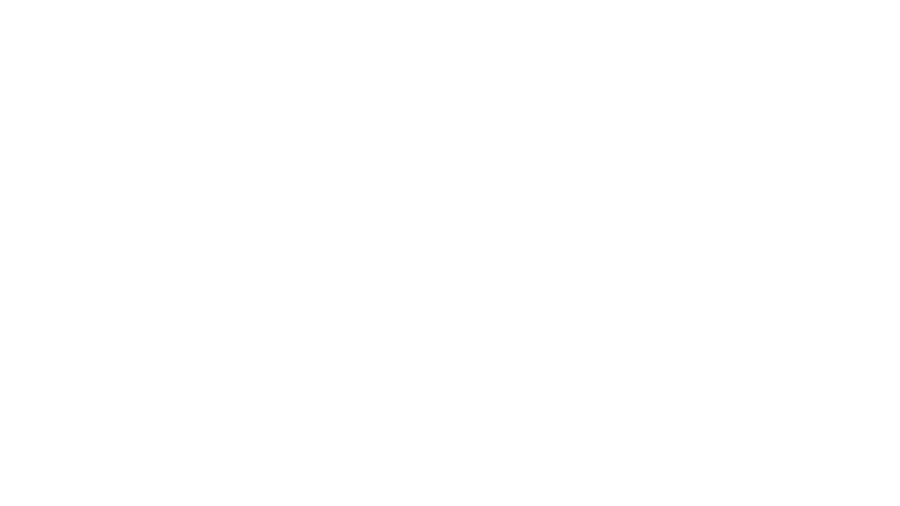 WSI ADS